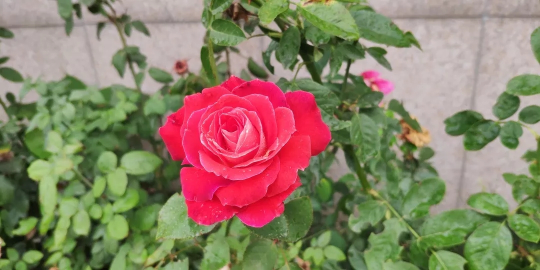 640.webp (10).jpg